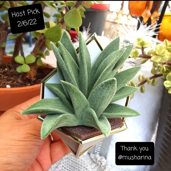 Bath & Body Works Other - 🔥HP🔥BBW WALLFLOWER PLUG